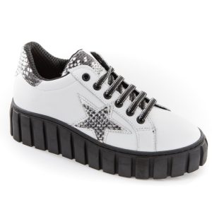 e scarpe