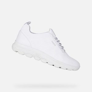 geox scarpe